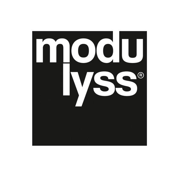 logo modulyss